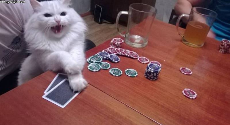 I Love Poker