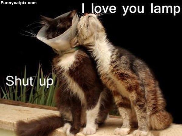 I Love You Lamp