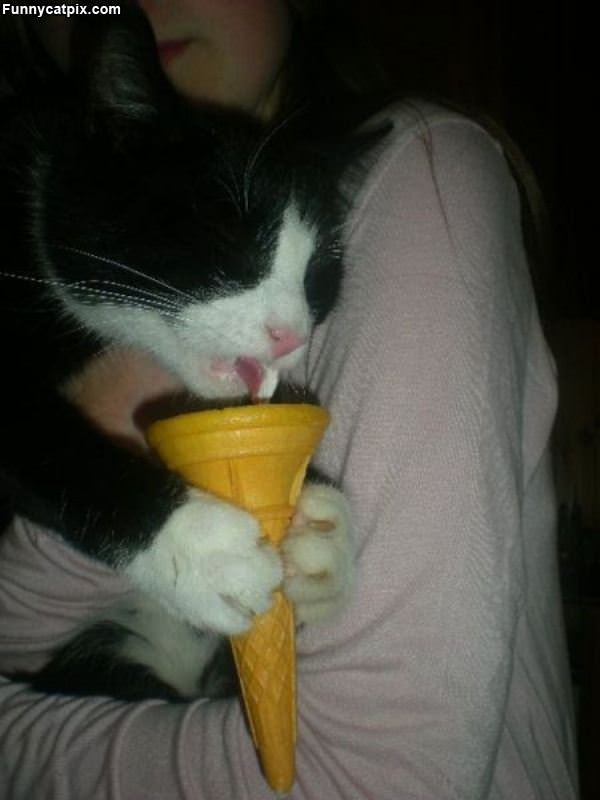 I Loves The Ice Cream