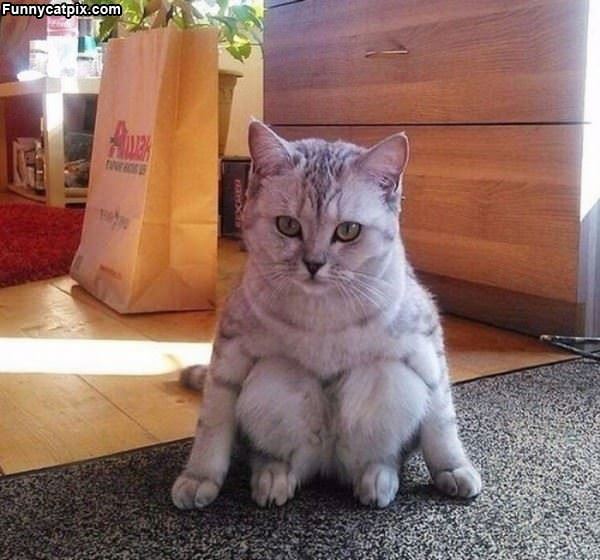 I Sits How I Sits