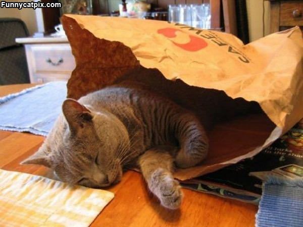 I Sleep In A Bag