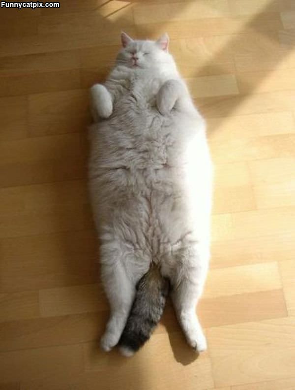 I Sleep Where And How I Want