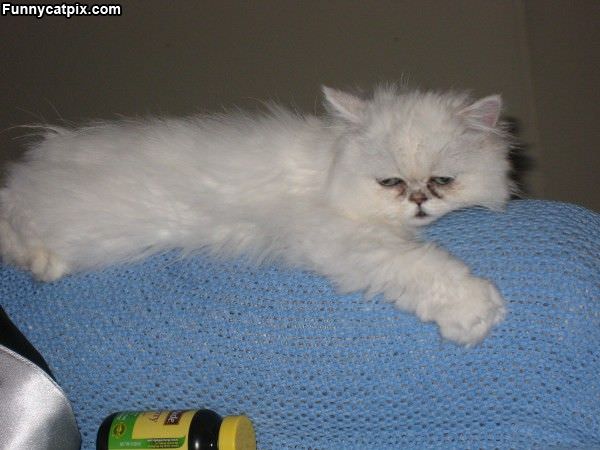 I Tired