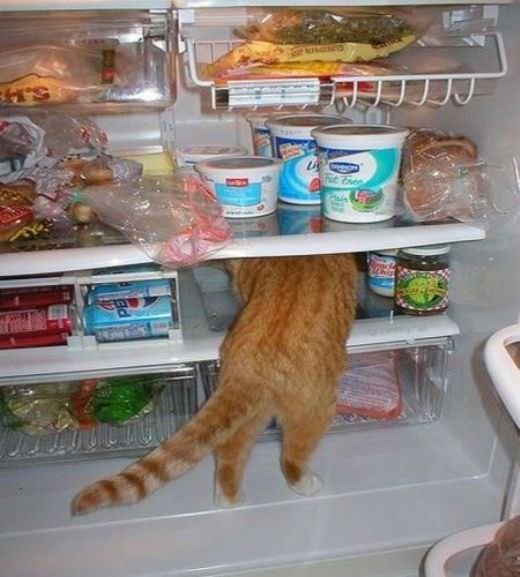 I Want That