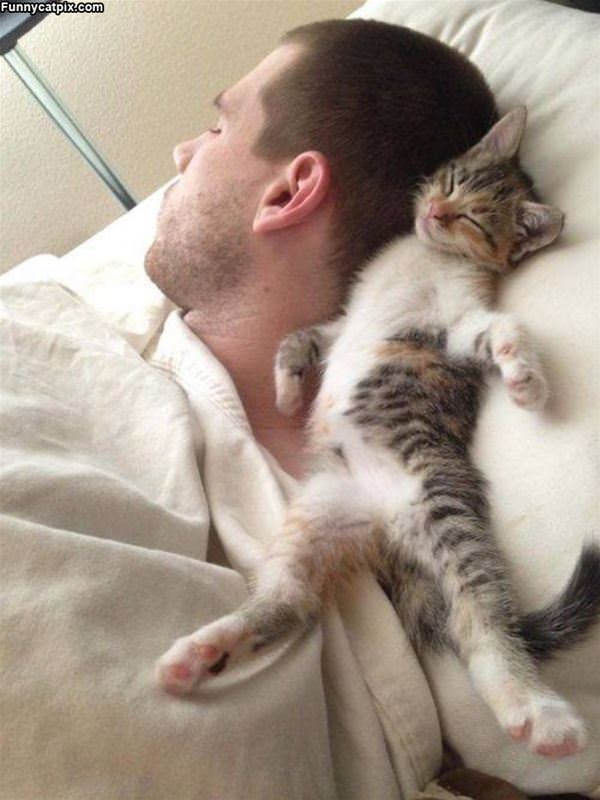 I Will Sleep Here