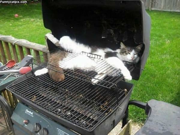 In The Grill