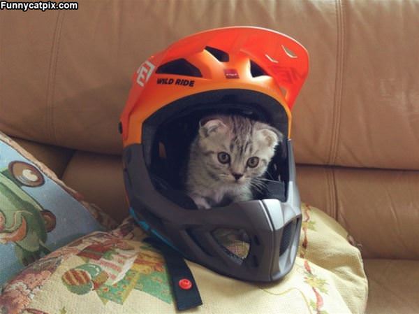 In The Helmet