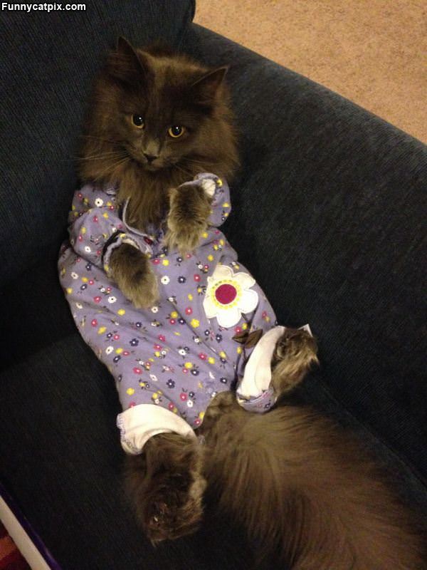 In The Pajama