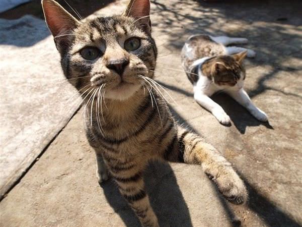 Inspecting The Camera
