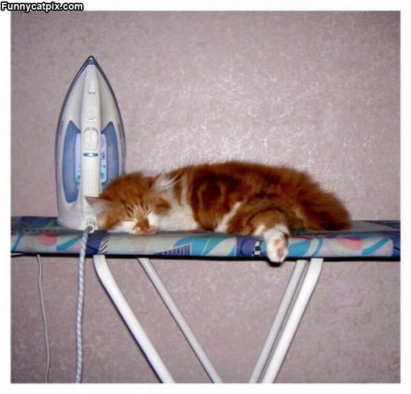 Ironing Board