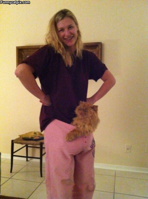 Is That A Cat In Your Pants