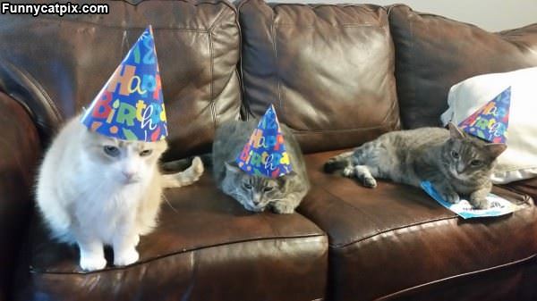 Its A Birthday Party