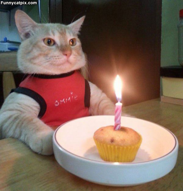 Its Mah Birthdays