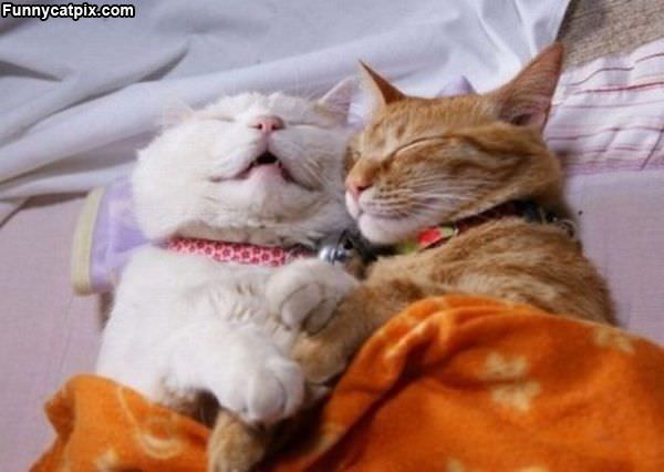 Its So Nap Time