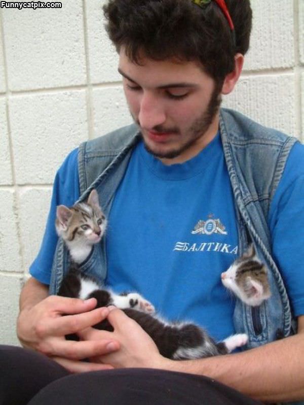 Jacket Full Of Kittens