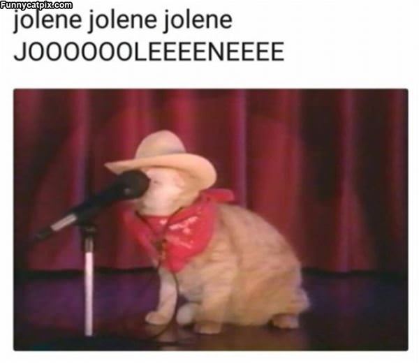 Jolene