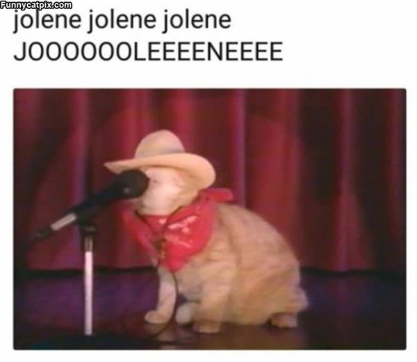 Jolene Jolene