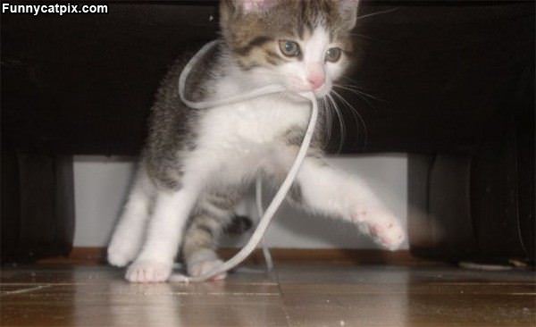 Just Playing With My String