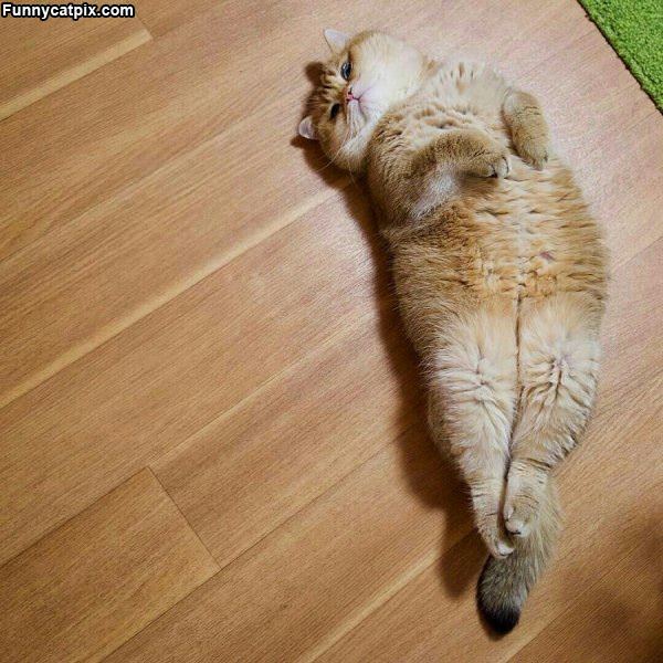 Just Relaxed