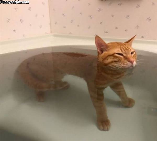 Just Relaxing In The Bath