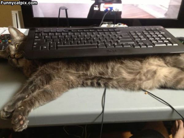 Keyboard Holder