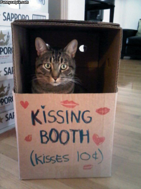 Kissing Booth