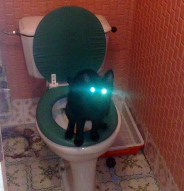 Laser-eyes