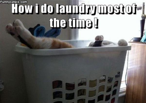 Laundry Most Of The Time