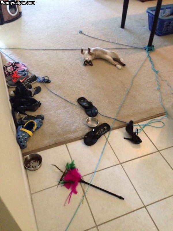 Laying Around