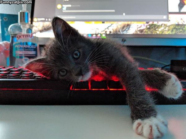 Just So Relaxec
