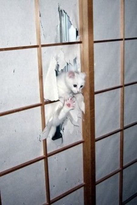 Let Me Out