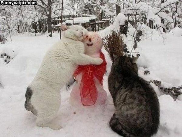 Lets Hug It Out
