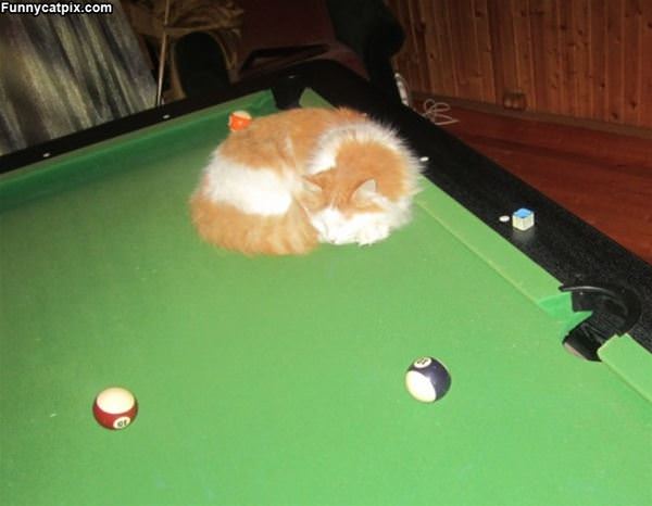 Lets Play Pool