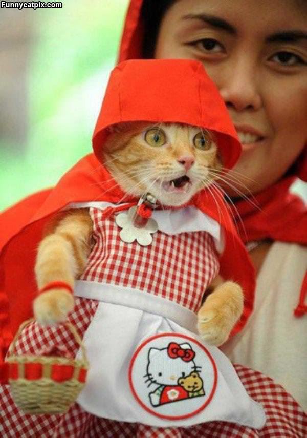 Little Red Riding Hood