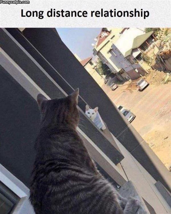 Long Distance Relationship