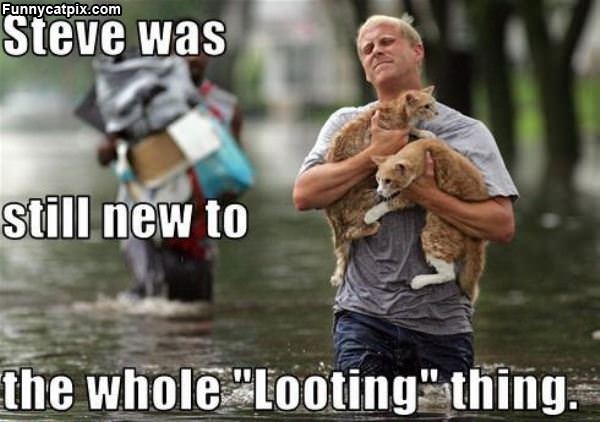 Looting