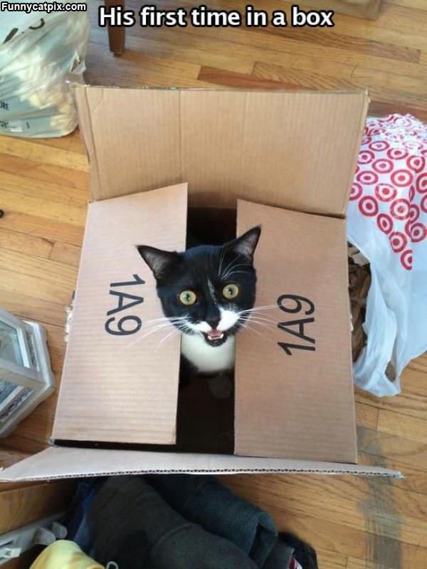 Love This Box