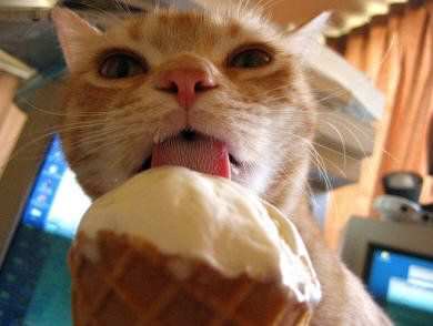 Loves Ice Cream