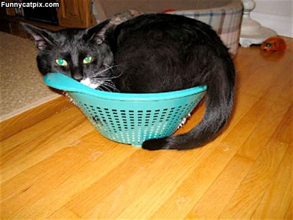 Mah Basket