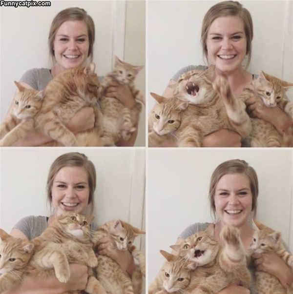 Me And My Cats