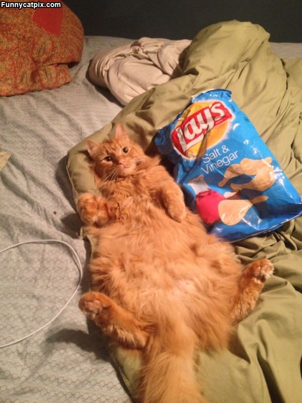 Me And The Lays