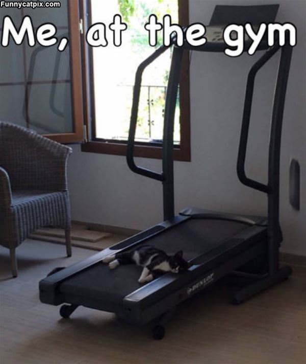 Me At The Gym