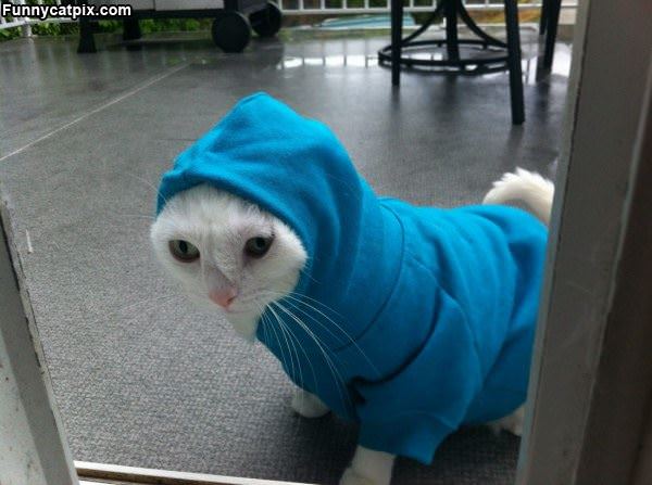 Me In My Hoody