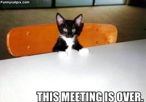 Meeting Is Over