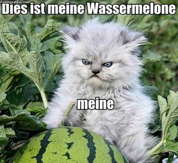 Meine