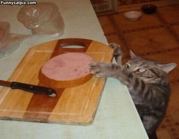 Mine