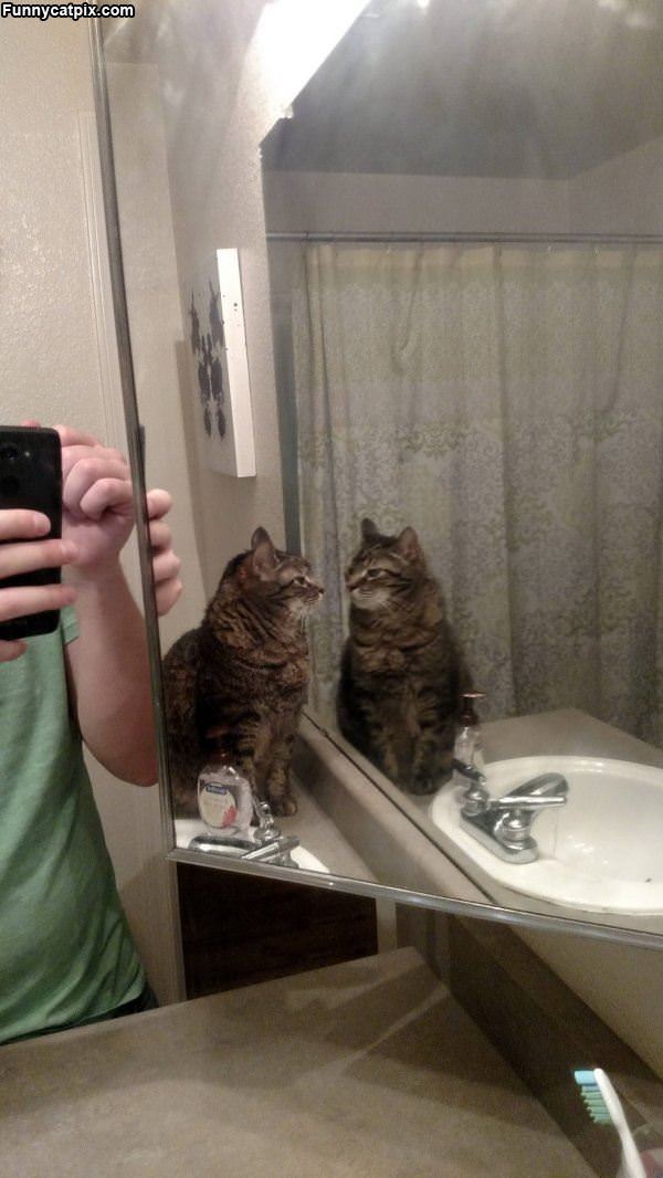 Mirror Time