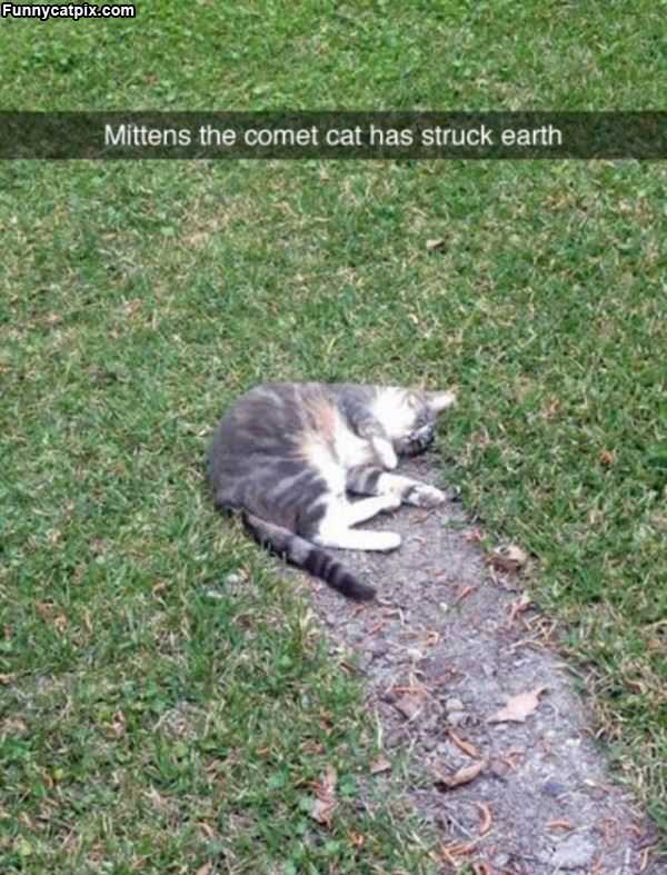 Mittens The Comet