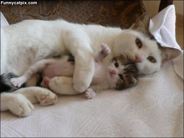 Mom Hugs