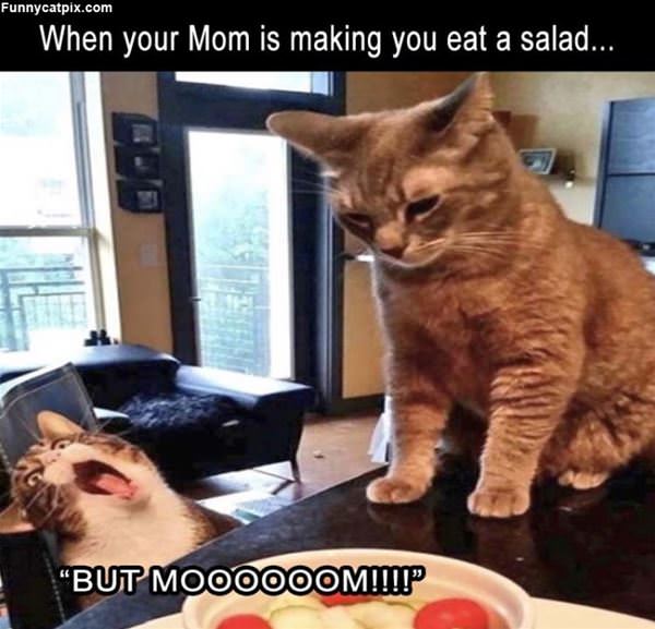 Mom Is Making You Eat Salad